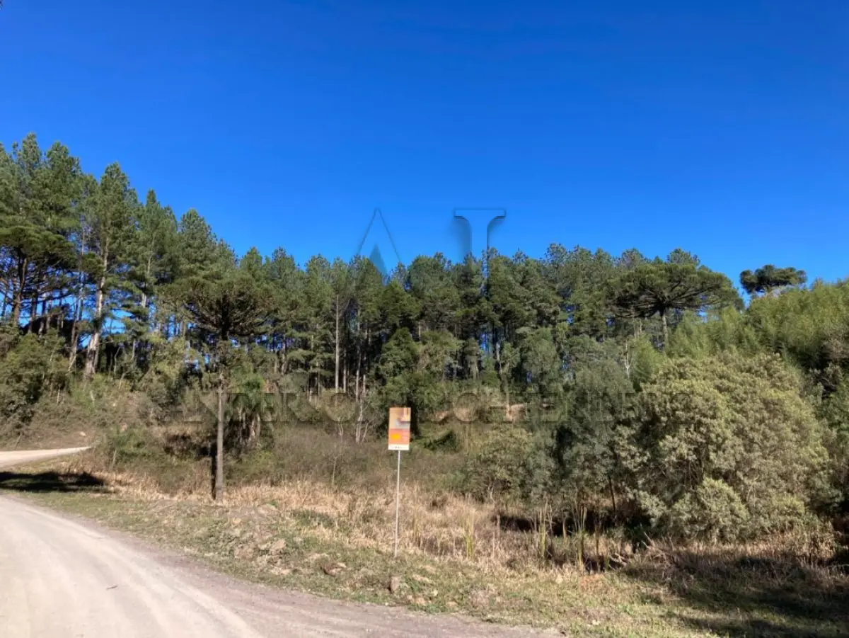 LOTE 004 - TERRENO COM 3.632,73m² NA LOCALIDADE DA BARRAGEM DO PINHAL.