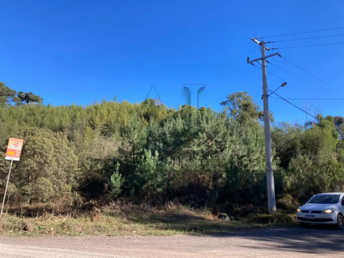LOTE 004 - TERRENO COM 3.632,73m² NA LOCALIDADE DA BARRAGEM DO PINHAL.