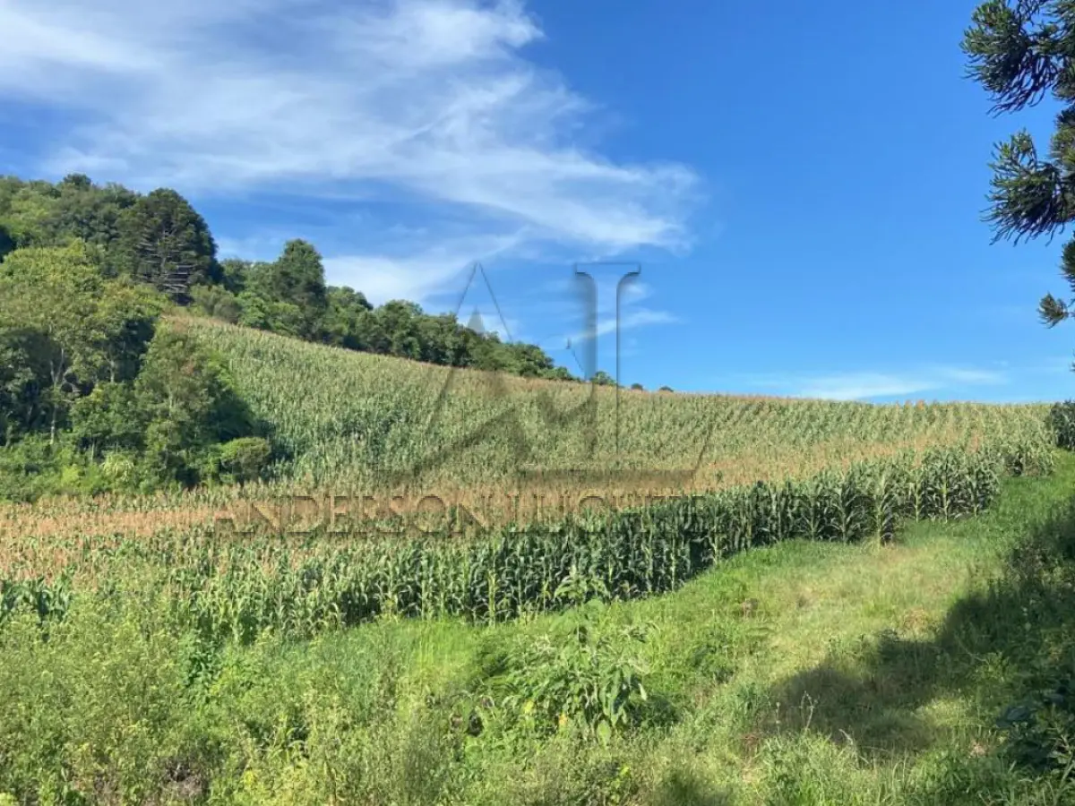 LOTE 001 - Terreno rural, sem benfeitorias, com área de 45 mil m² - Fraiburgo/SC