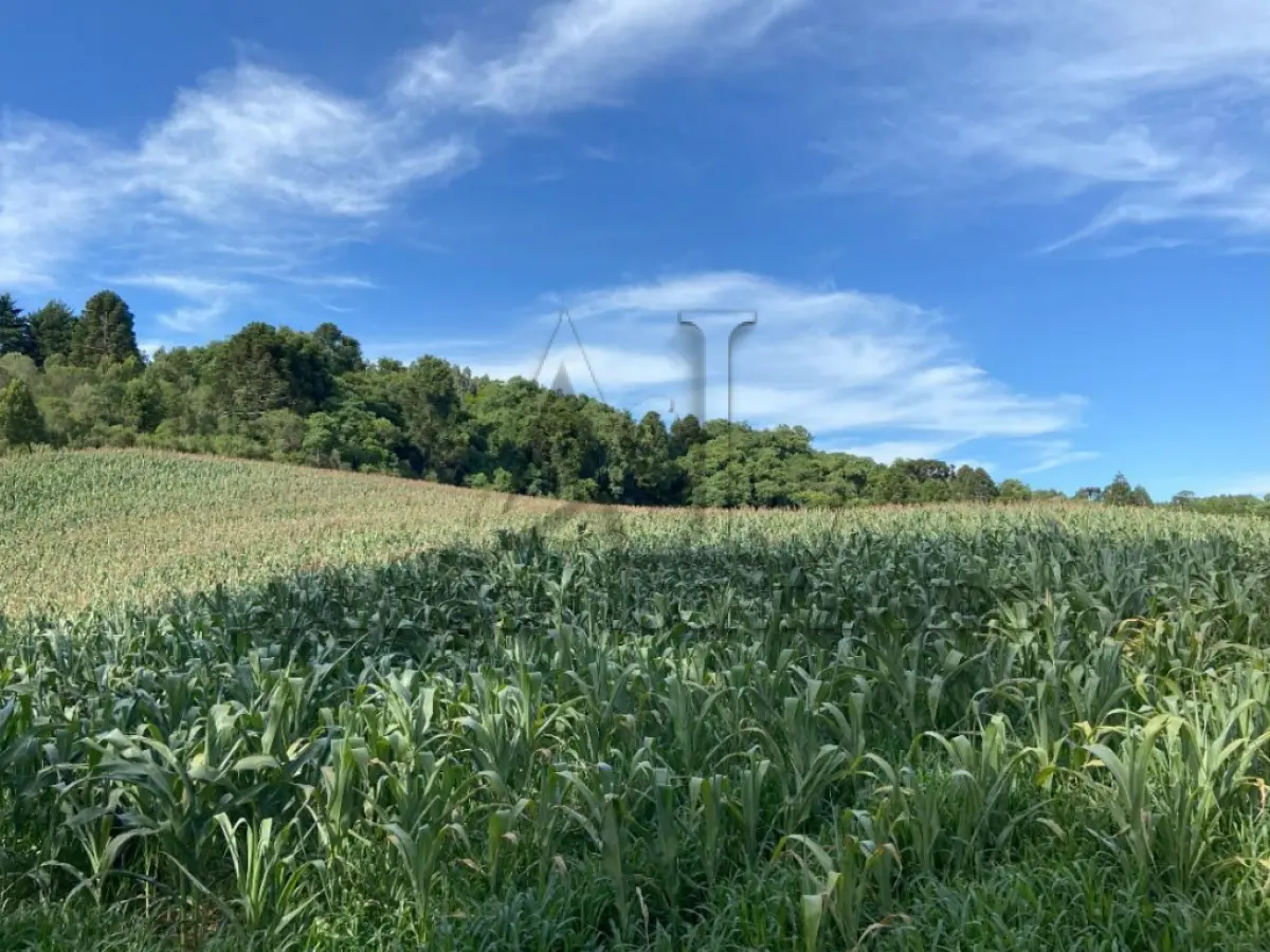 LOTE 001 - Terreno rural, sem benfeitorias, com área de 45 mil m² - Fraiburgo/SC