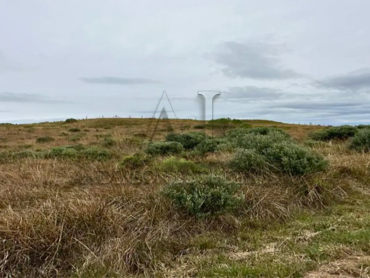 LOTE 002 - TERRENO EM CONDOMÍNIO FECHADO NA SERRA CATARINENSE COM 2.138,47 m²