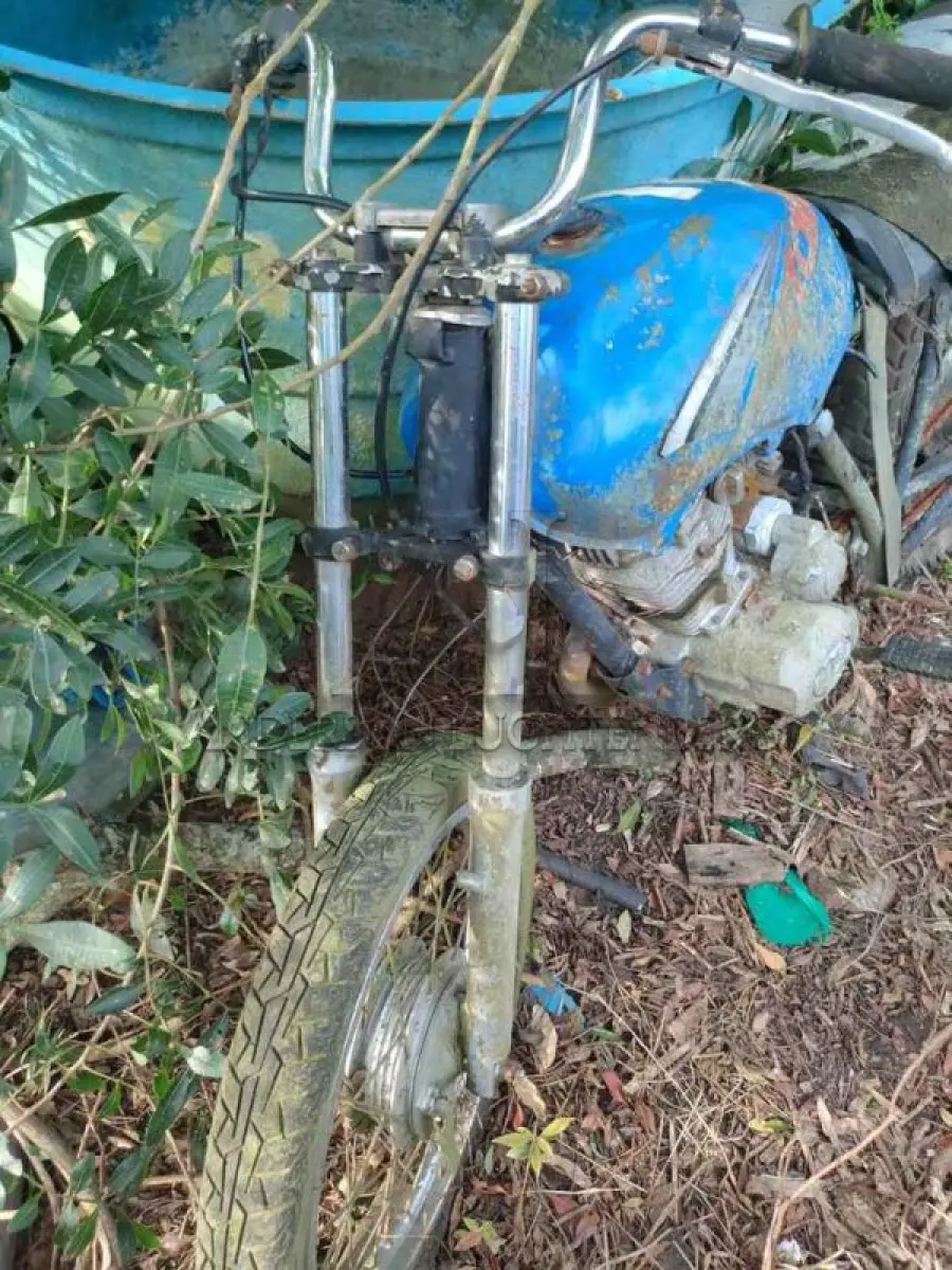 LOTE 0034