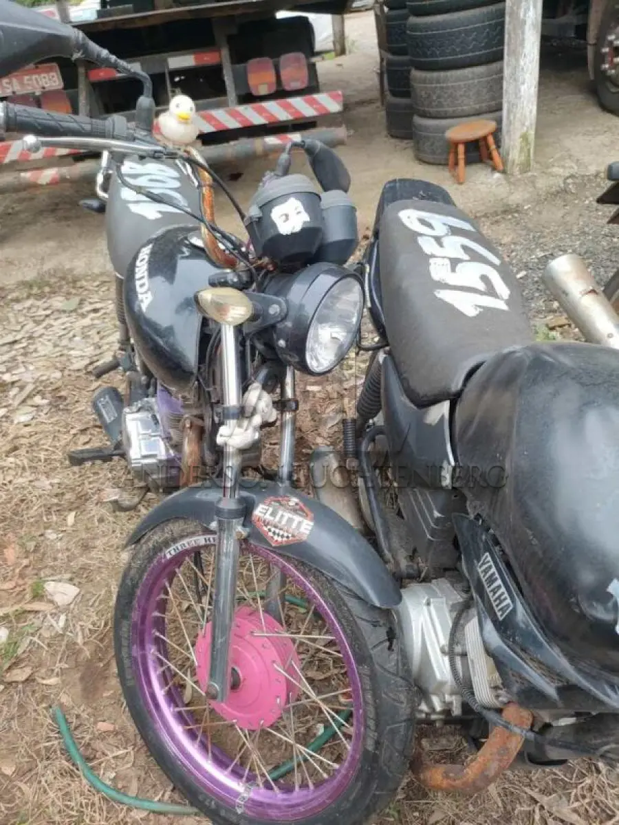 LOTE 0056