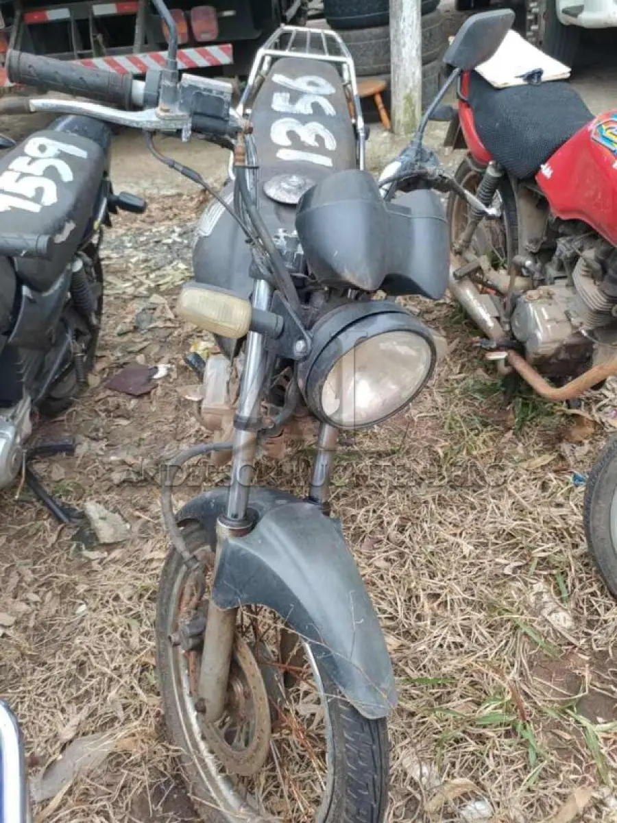 LOTE 0051