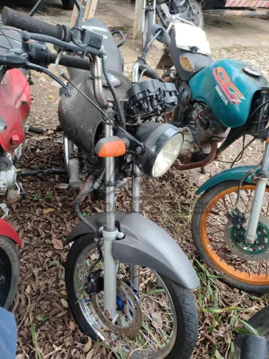 LOTE 0043