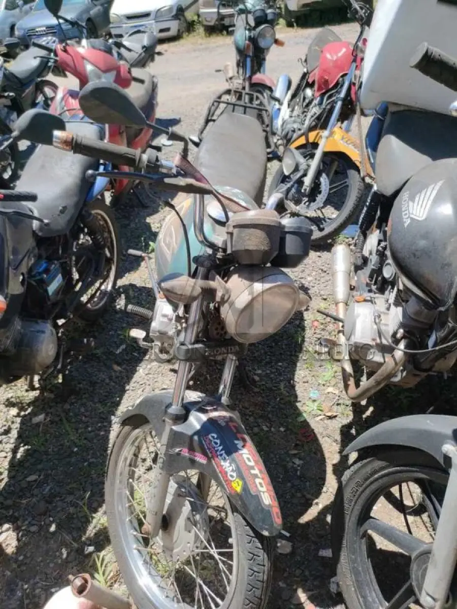 LOTE 0109