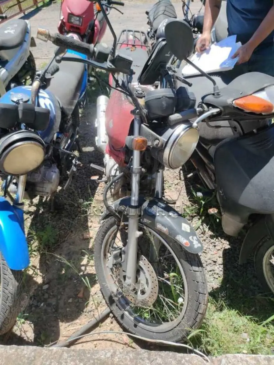 LOTE 0110