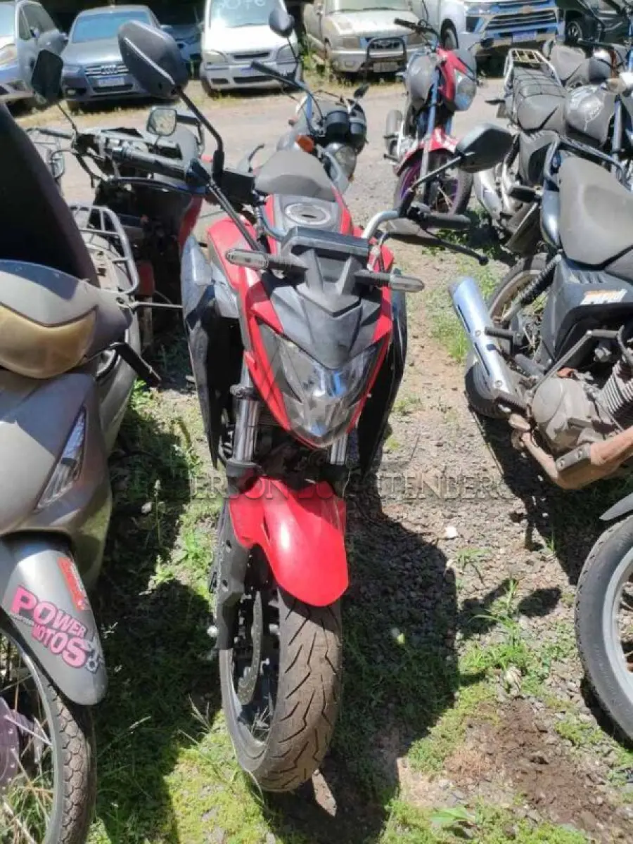 LOTE 0099