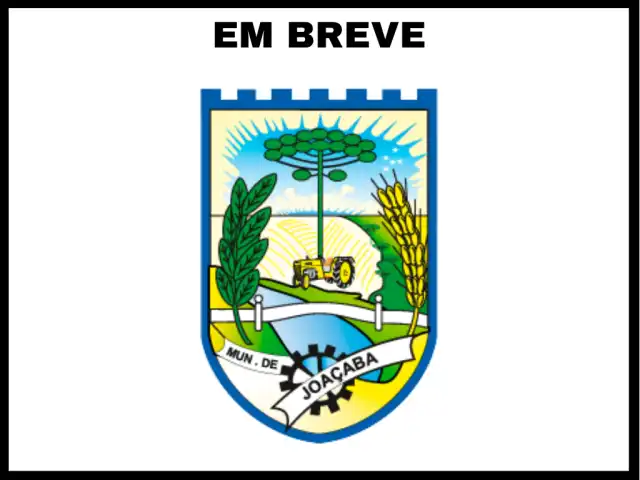 LEILÃO DA PREFEITURA DE JOAÇABA - SC