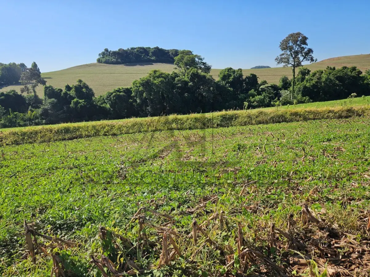 LOTE 001 - Imóvel Rural com a área de 176.269,00m² em Pato Branco