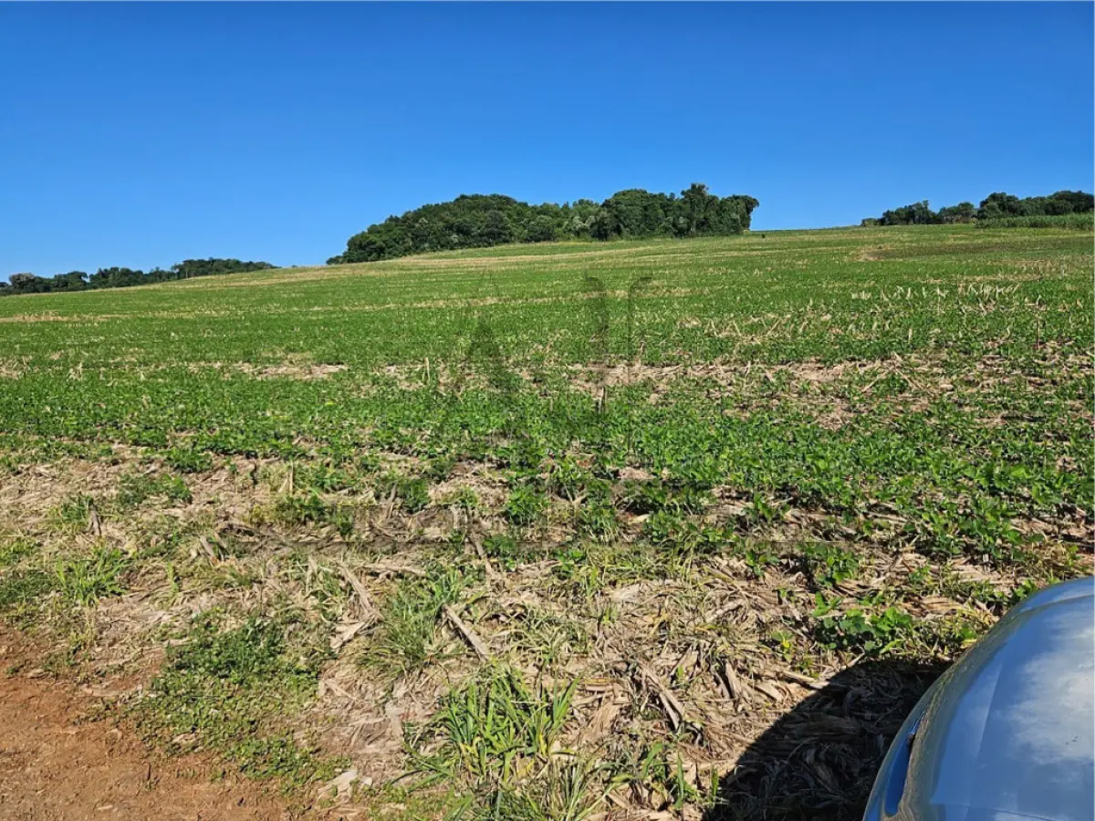 LOTE 001 - Imóvel Rural com a área de 176.269,00m² em Pato Branco