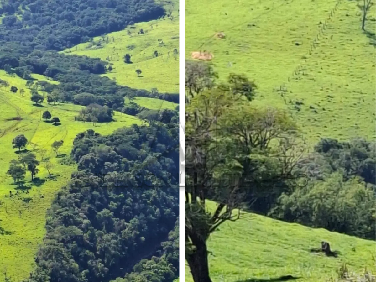 LOTE 001 - Imóvel Rural com Área de 79.000m2 na Colônia Piquiri, Santa Maria do Oeste- PR