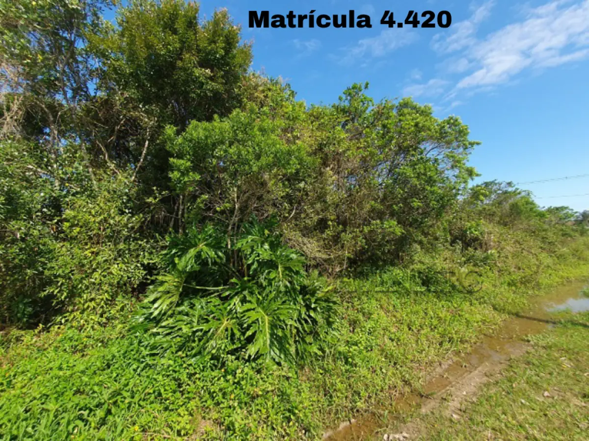 LOTE 003 - Imóvel da matrícula 4.420