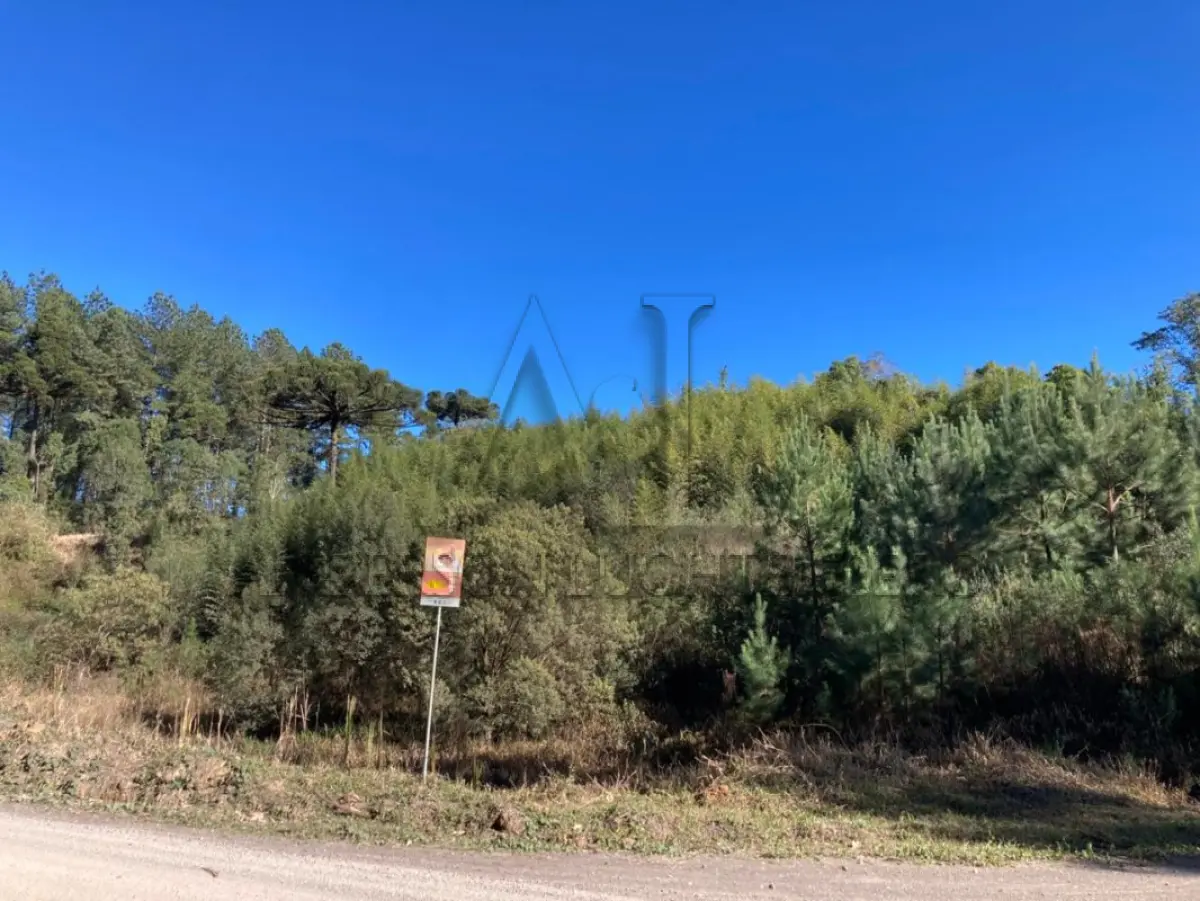 LOTE 004 - TERRENO COM 3.632,73m² NA LOCALIDADE DA BARRAGEM DO PINHAL.