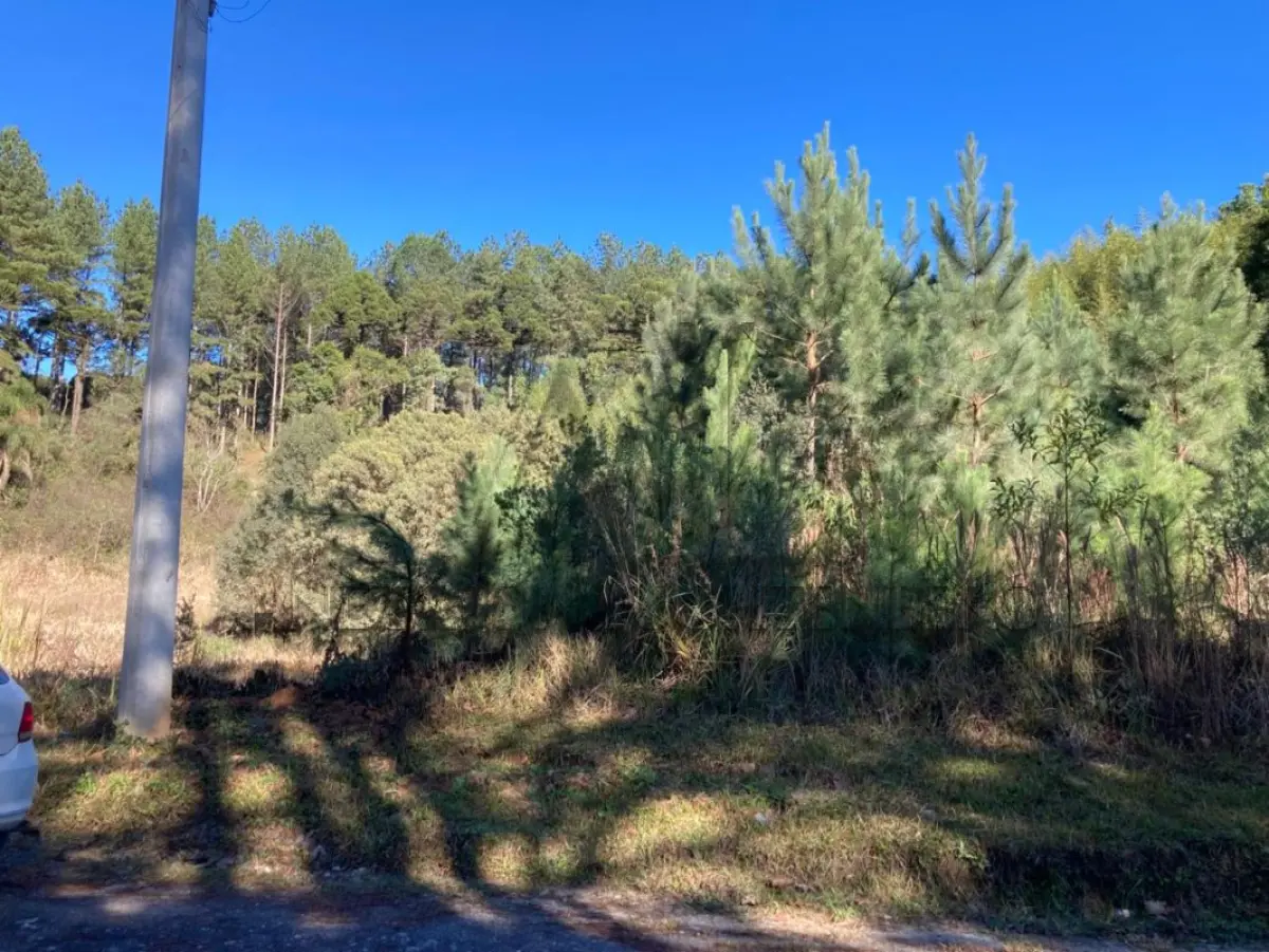 LOTE 004 - TERRENO COM 3.632,73m² NA LOCALIDADE DA BARRAGEM DO PINHAL.