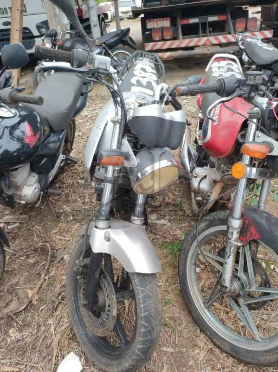 LOTE 0054