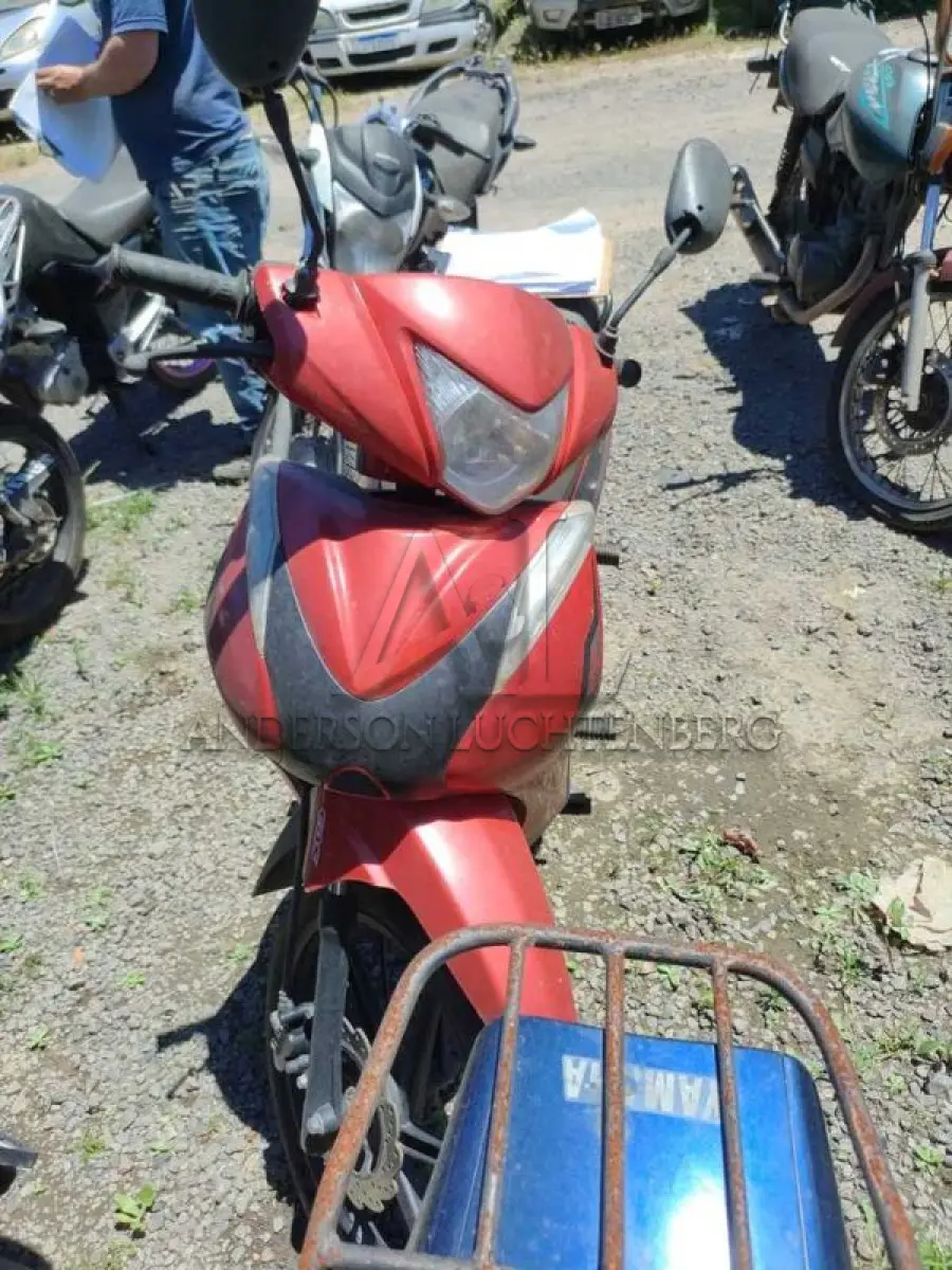 LOTE 0119