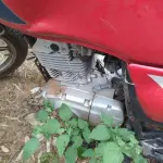 Foto 3