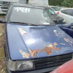 Foto 7