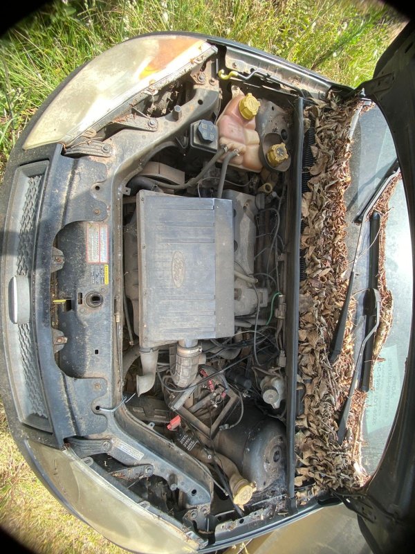 Foto 11
